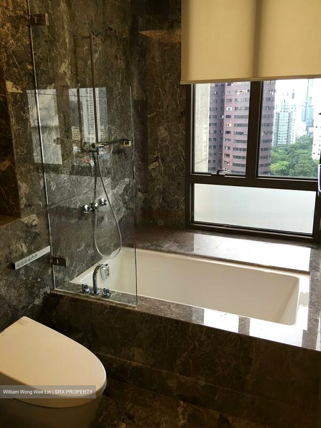 Parkview Eclat (D10), Condominium #479955281